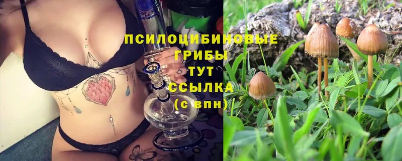 Галлюциногенные грибы MAGIC MUSHROOMS  Орехово-Зуево 